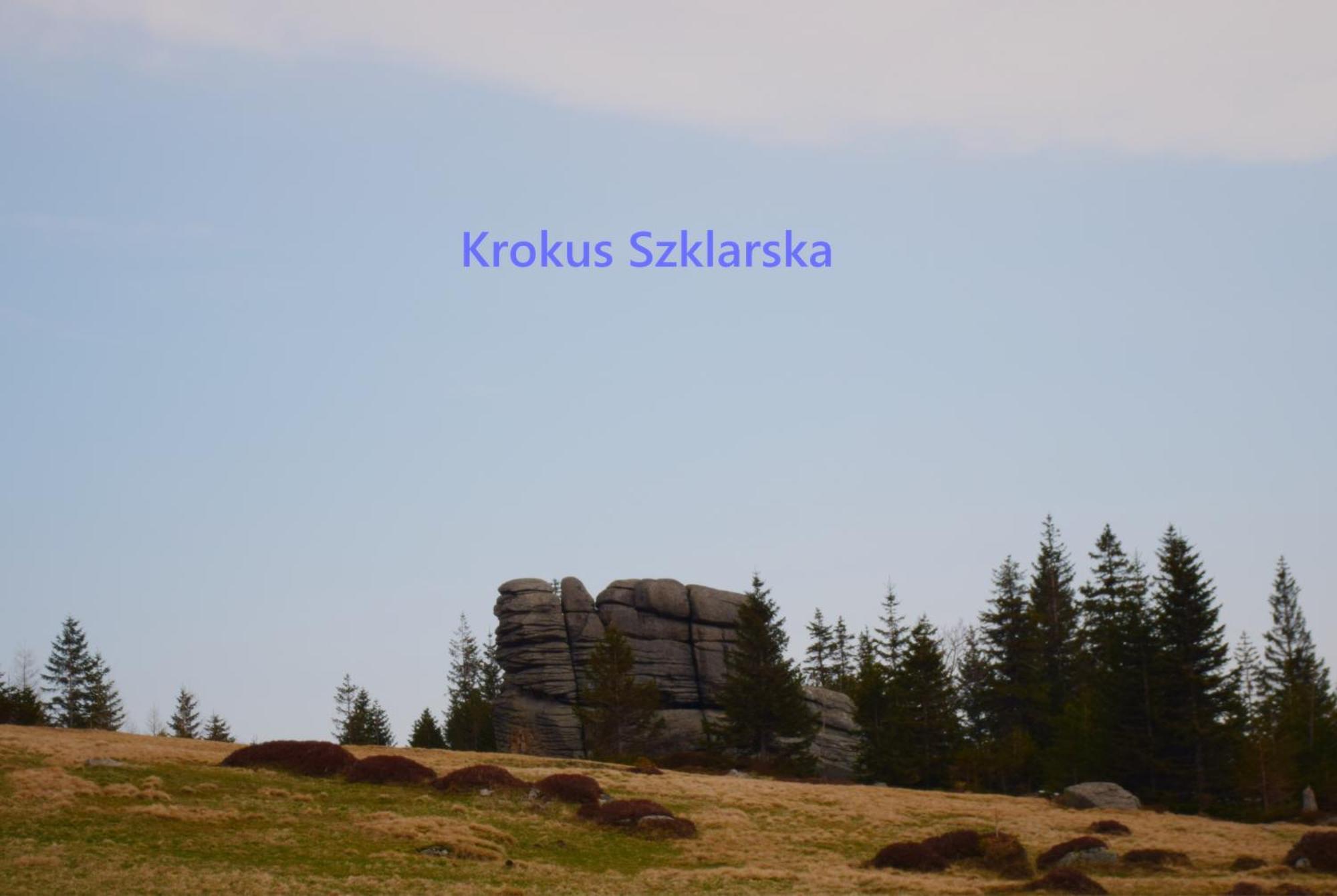 Apartament Krokus Szklarska シクラルスカ・ポレンバ エクステリア 写真